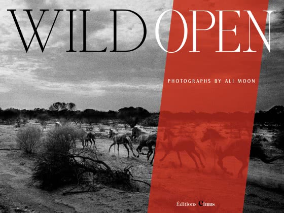 Couverture du livre ”Wild Open”