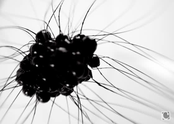 charlotte-cazal-shut-your-eyes-and-see-0955