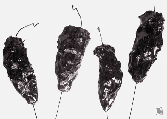 charlotte-cazal-shut-your-eyes-and-see-7468