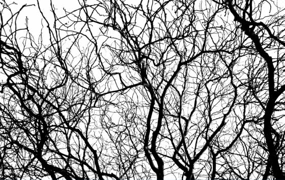 Carnet de rendez-vous verso