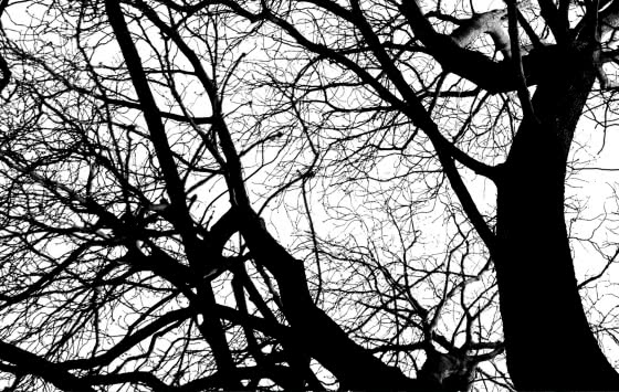 Carte de visite 1 verso