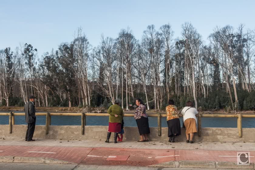 Constitución, en face de l’île Orrego