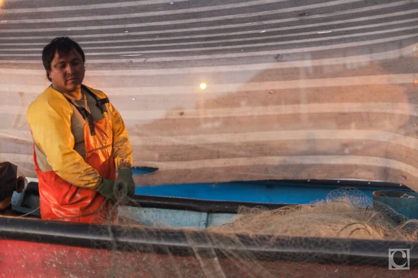 Constitución, Anse Pellines